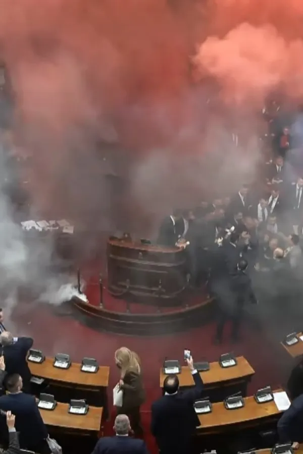 Brnabić: Poslanica Obradović doživjela moždani udar kad je bačena &scaron;ok bomba, bori se za život