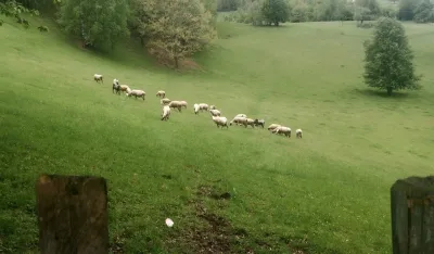 Poljoprivreda i stočarstvo na koljenima