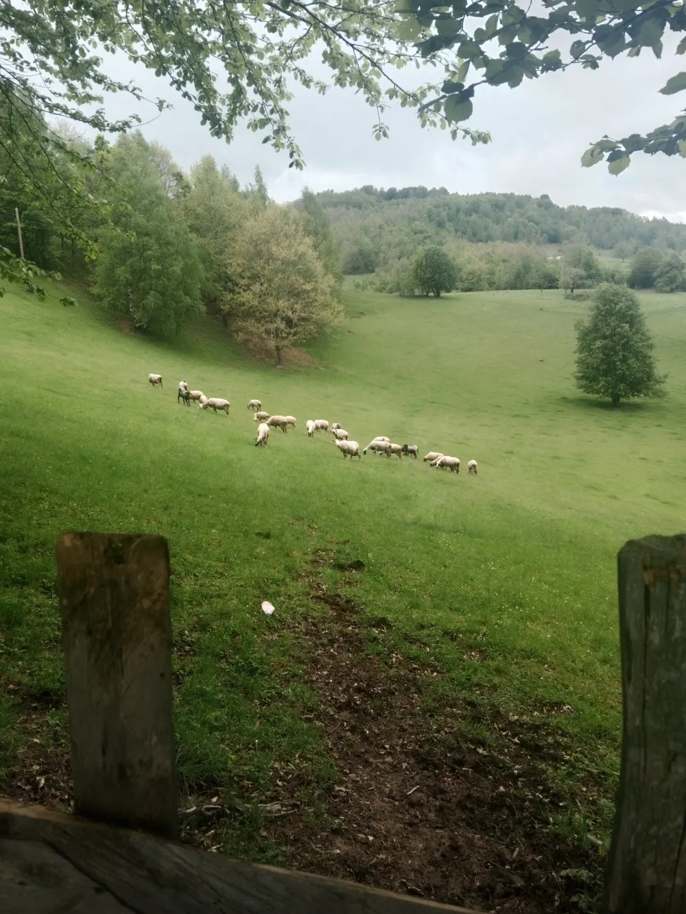 Poljoprivreda i stočarstvo na koljenima
