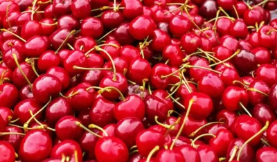 (Ne)očekivana po&scaron;iljka: Stigle tone buđavih tre&scaron;anja