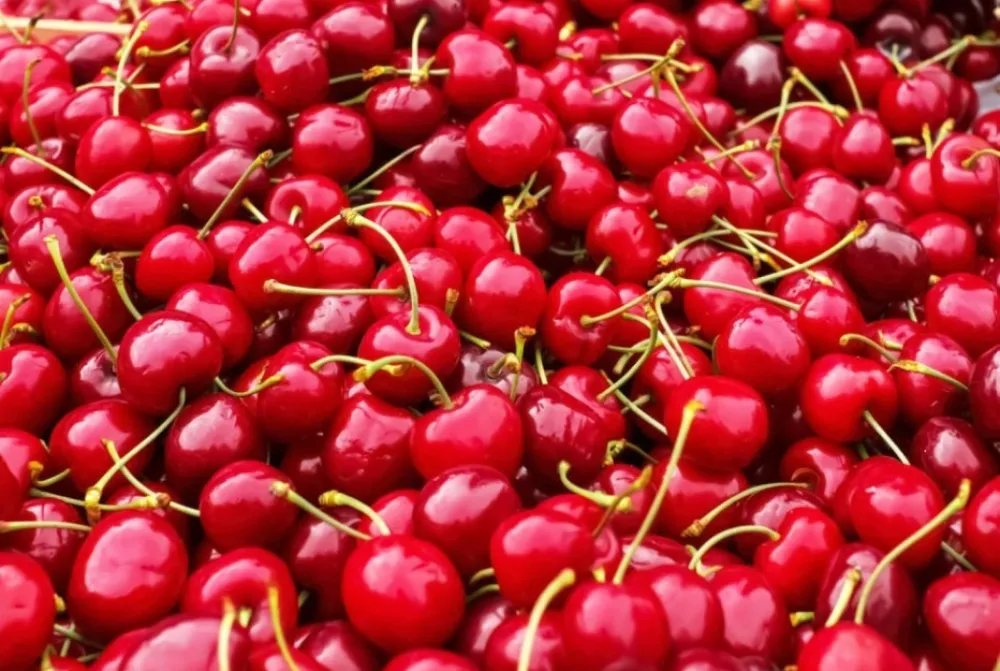 (Ne)očekivana po&scaron;iljka: Stigle tone buđavih tre&scaron;anja