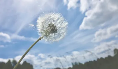 (VIDEO) U subotu pretežno sunčano, do 23 stepena