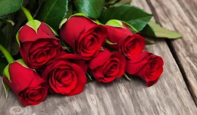 Čestitke povodom 8. marta