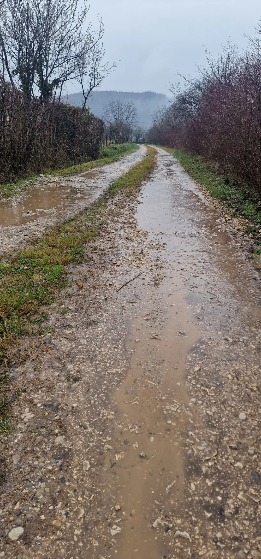 Tužiće op&scaron;tinu jer nije asfaltiran put do njegovog sela