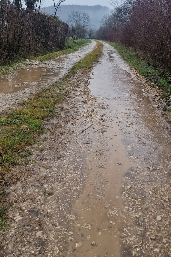 Tužiće op&scaron;tinu jer nije asfaltiran put do njegovog sela