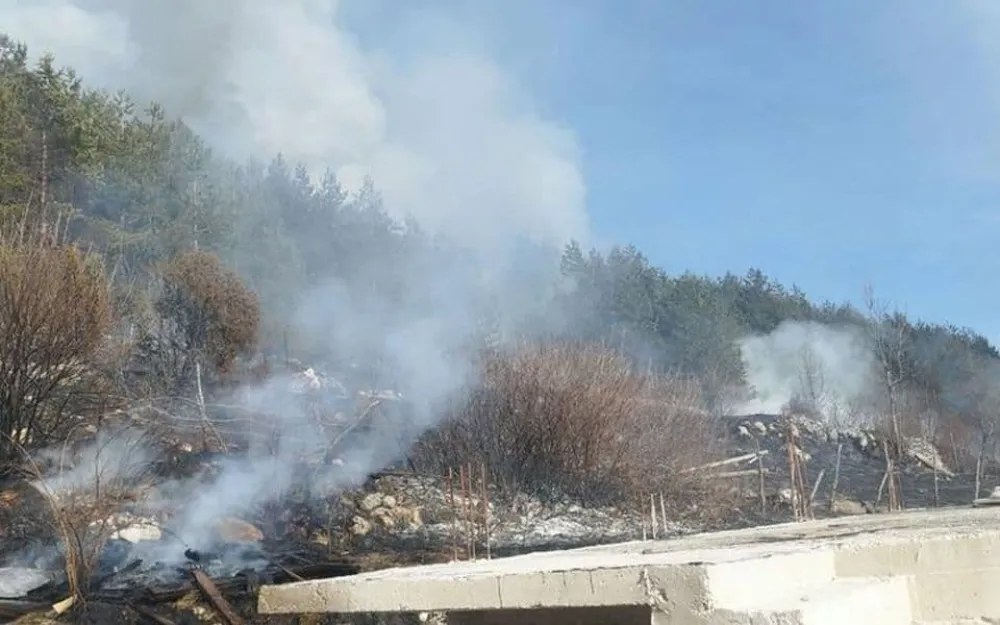 Žabljak: Veliki požar u selu Međužvalje prijeti kućama