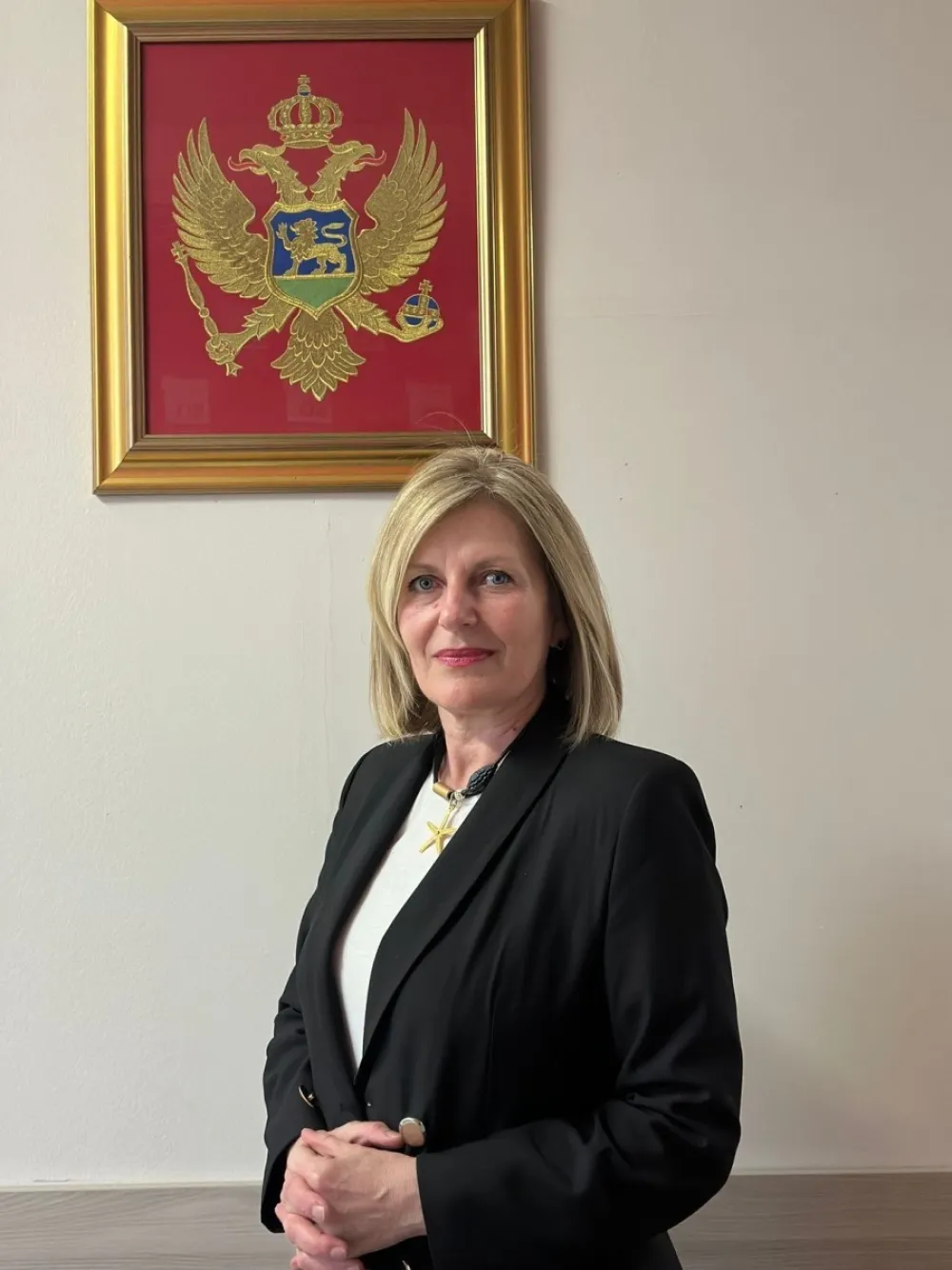 Za ovo se zalaže Forum žena Evropskog saveza Herceg Novog