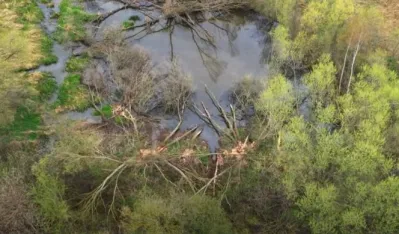 Dabrovi podigli branu