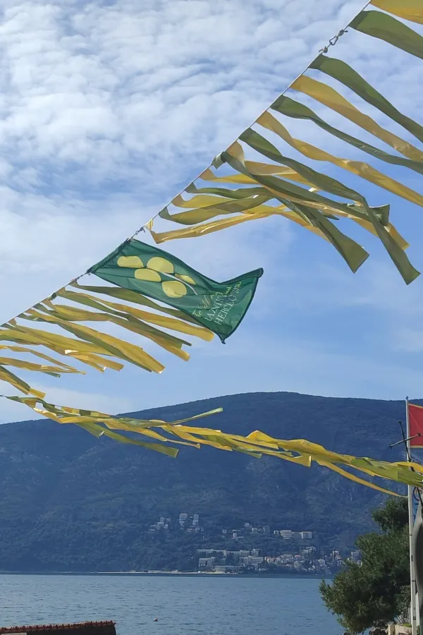 Herceg Novi, broj turista