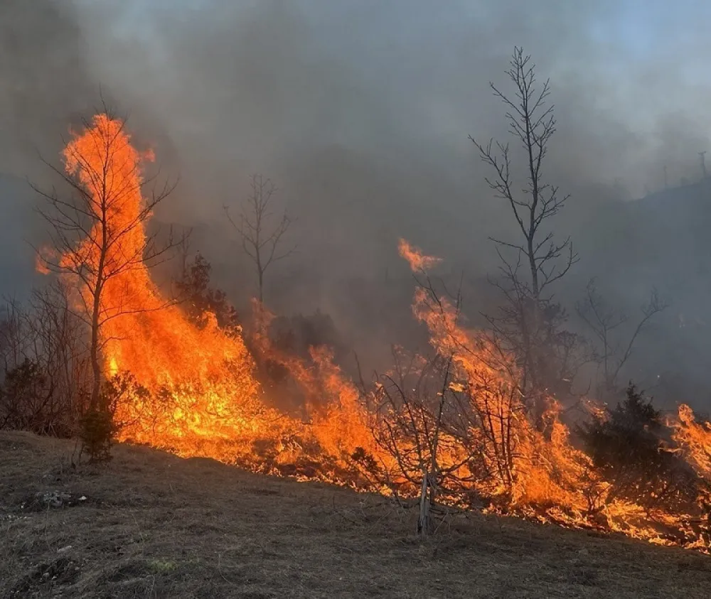 &Scaron;avnik: &Scaron;umski požar u rejonu sela Grabovica, Kru&scaron;evice i Mljetičak