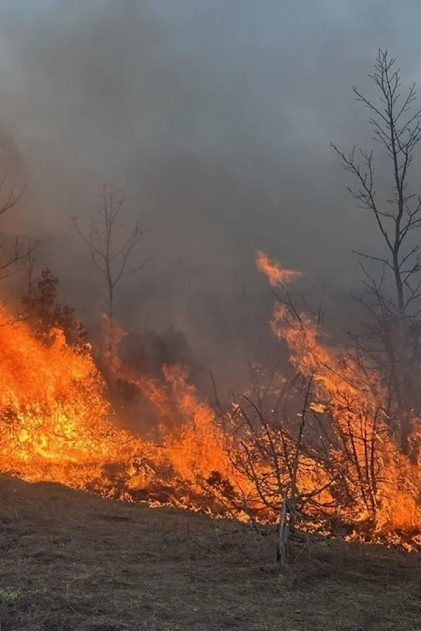 &Scaron;avnik: &Scaron;umski požar u rejonu sela Grabovica, Kru&scaron;evice i Mljetičak