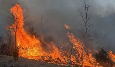Vatra guta crnogorsko blago