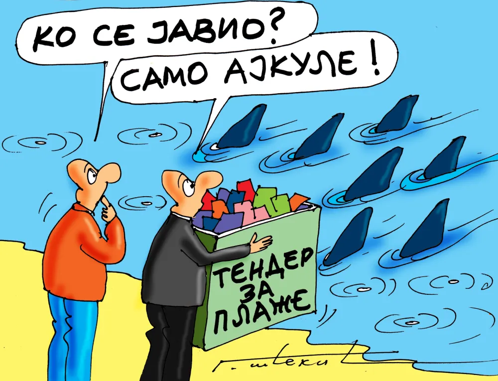 Goran &Scaron;ćekić karikatura Dana