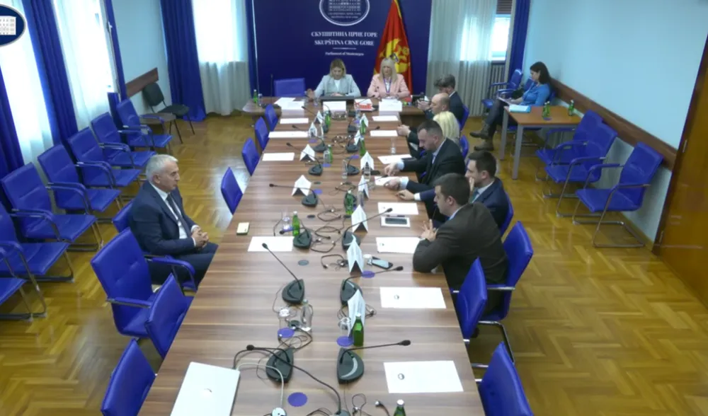 Administrativni odbor imenovao Biljanu Vučurović za Mandićevu savjetnicu