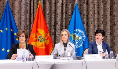 Sastanak o mjerama za borbu protiv nedozvoljene trgovine duvanskim proizvodima na ZB