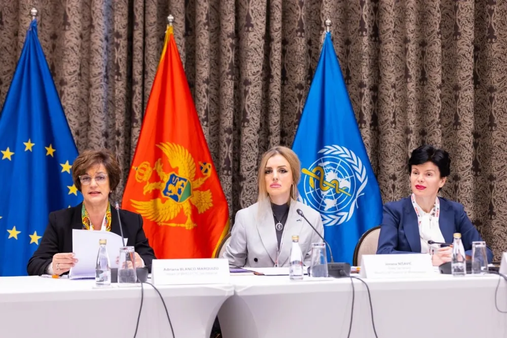 Sastanak o mjerama za borbu protiv nedozvoljene trgovine duvanskim proizvodima na ZB