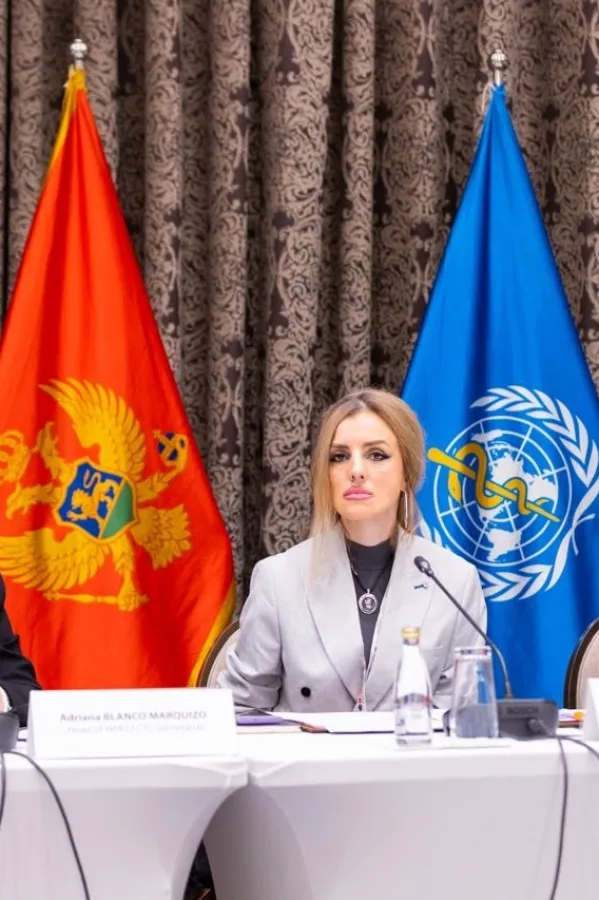 Sastanak o mjerama za borbu protiv nedozvoljene trgovine duvanskim proizvodima na ZB