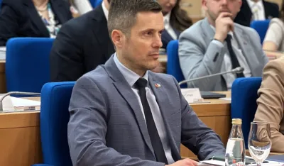 Mujović Abazoviću: Ne gine se od ujeda komarca