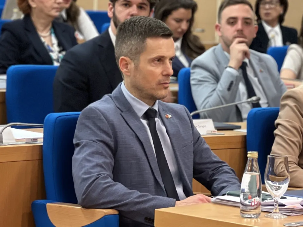 Mujović Abazoviću: Ne gine se od ujeda komarca