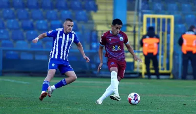 Kastanjeda načeo Kotorane