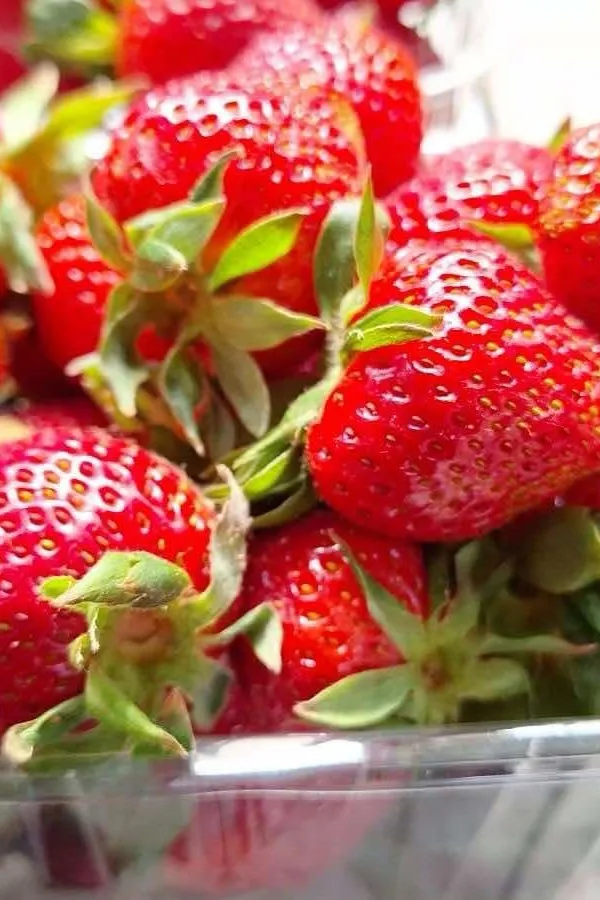 Kilogram jagoda deset eura