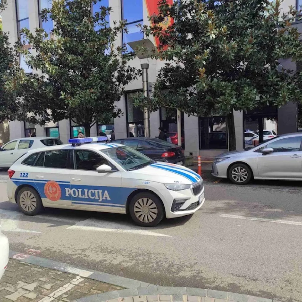 Pavličić:&nbsp;Lice koje je navodno poslalo lažnu dojavu o bombi nalazi se u&nbsp;zatvoru