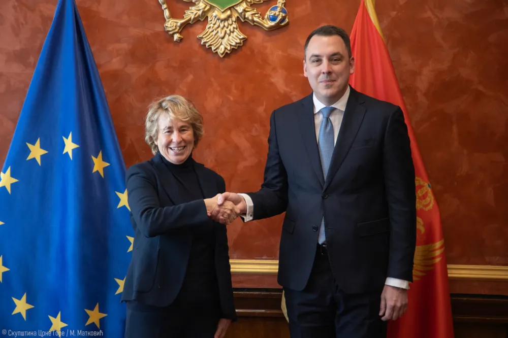 Vuković-Karski: Za Crnu Goru nema važnijeg političkog prioriteta od ulaska u EU