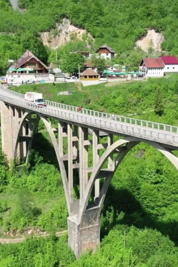 Mje&scaron;tani Đurđevića Tare neće dalekovod kroz selo