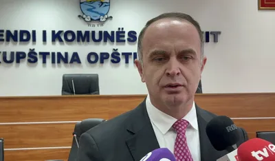 Nik Đeljo&scaron;aj