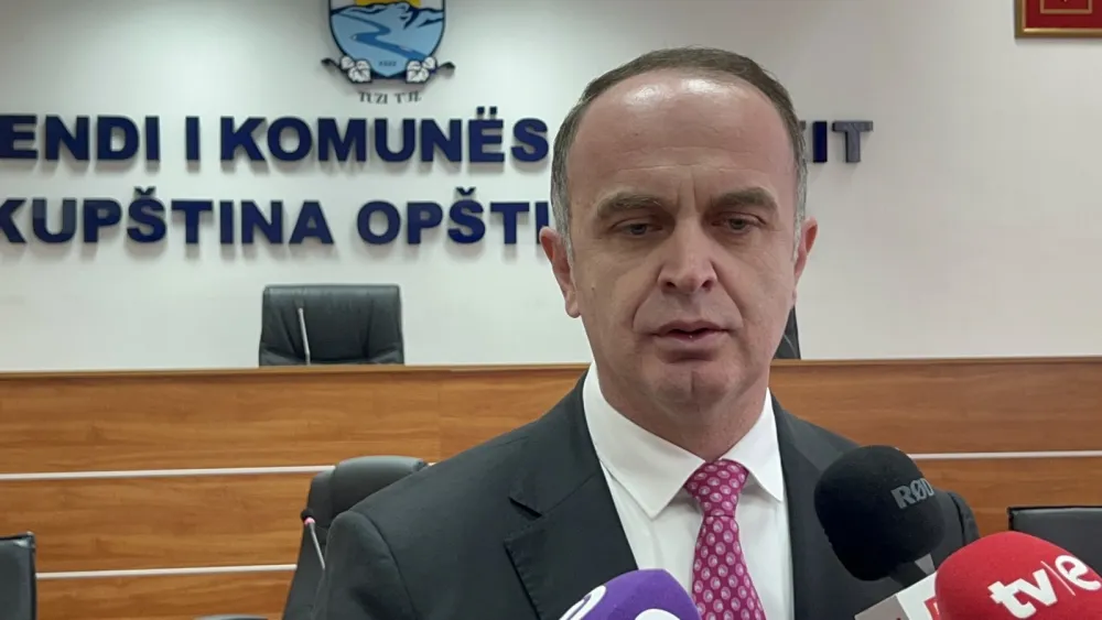 Nik Đeljo&scaron;aj