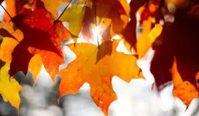 Sunčano, vjetar slab promjenljivog smjera