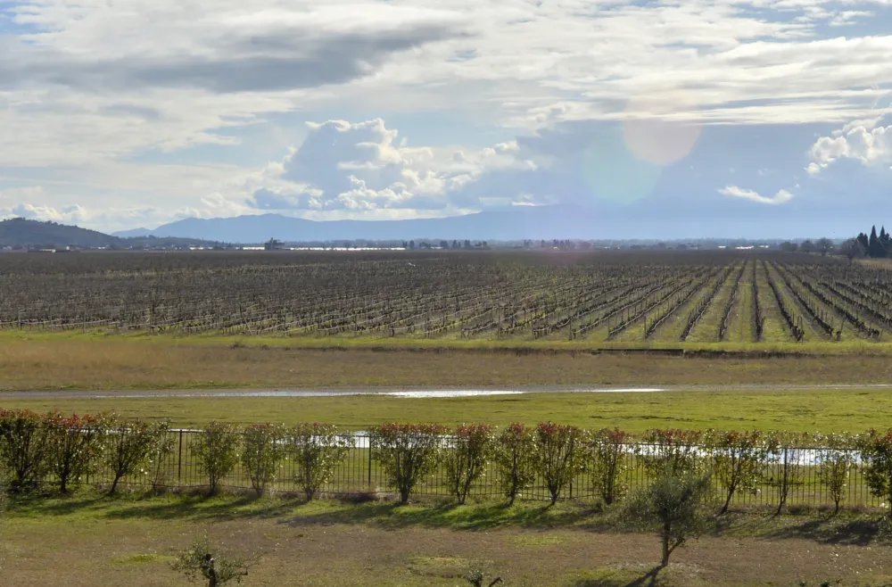 &bdquo;Plantažama&rdquo; padaju prihodi, tro&scaron;kovi i dugovi rastu