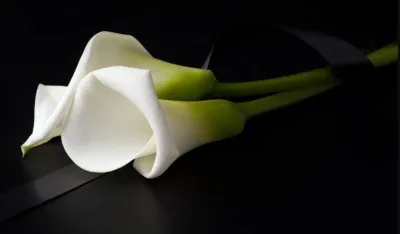 (FOTO/VIDEO) U Kočanima sahranjena 31 žrtva