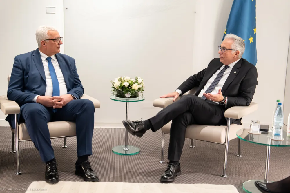 Mandić sa&nbsp;Rusopulosom: Zahvalni Crnoj Gori na njenom doprinosu Savjetu Evrope