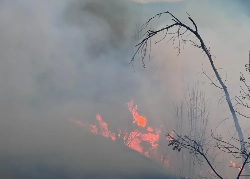 U Bijelom Polju vatrogasci gasili dimnjake i &scaron;umske požare