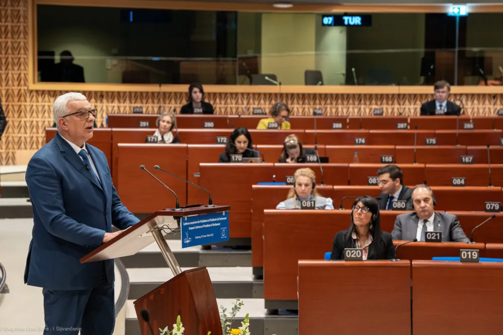 Mandić: Biv&scaron;i režim sprovodio politički progon i nasilje, mi se zalažemo za demokratiju