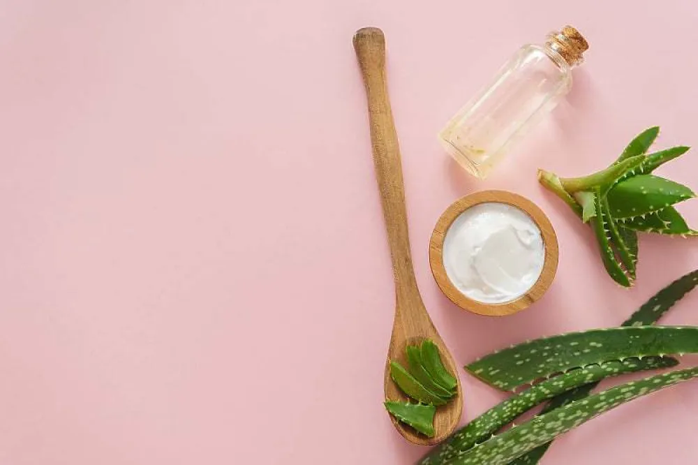 Aloe vera donosi mnoge benefite za va&scaron;e zdravlje