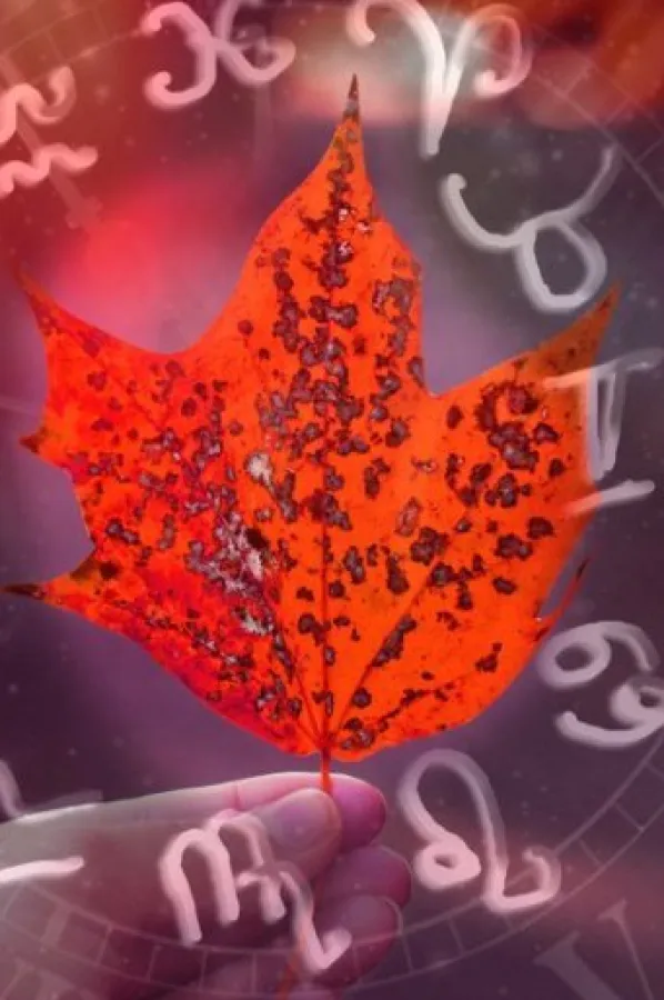 Horoskop za 23. mart: Blizancima i Raku izuzetan dan za druženja, Jarac posvećen onima koje voli