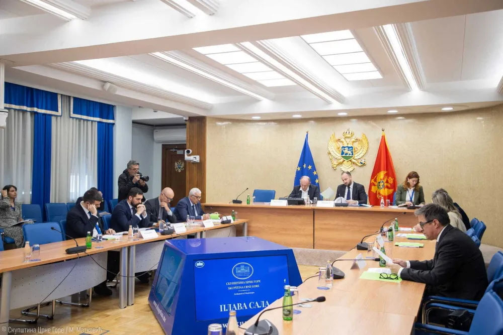 (VIDEO) Mandić predložio da se odbor bavi slučajevima devet ubistava; Huter: Nije ljudski sipati so na rane zarad jeftinih političkih poena