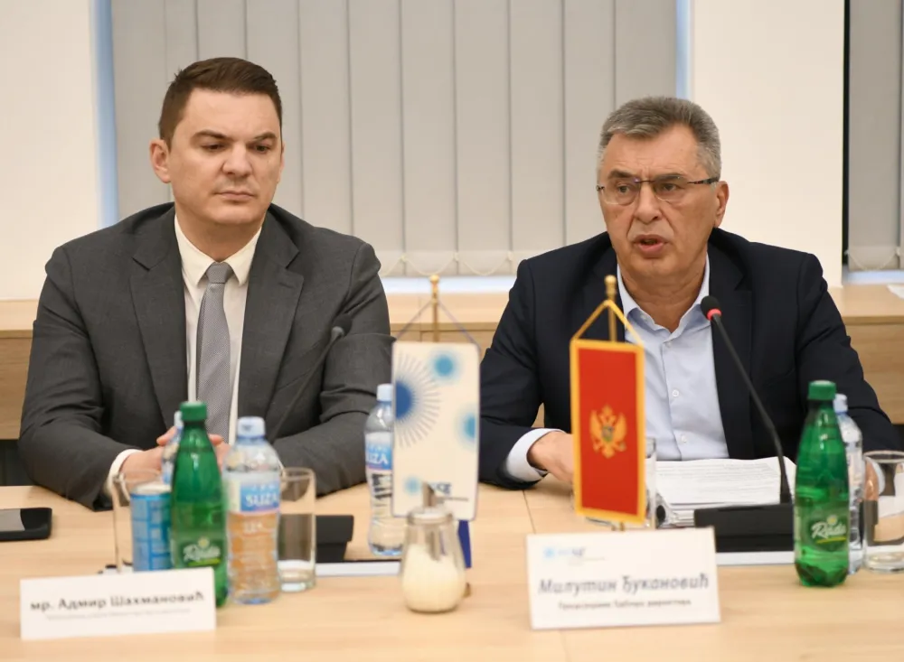 &Scaron;ahmanović na sastanku odbora direktora EPCG