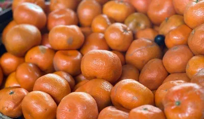 Na Ginta&scaron;u kilogram mandarina 2,50 eura