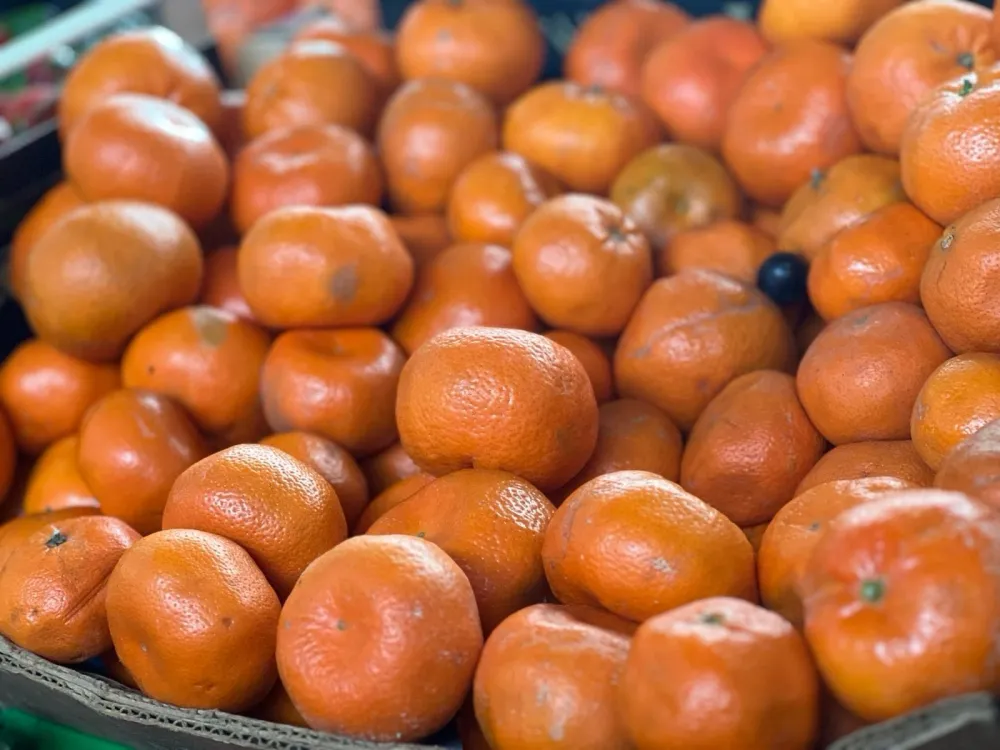 Na Ginta&scaron;u kilogram mandarina 2,50 eura