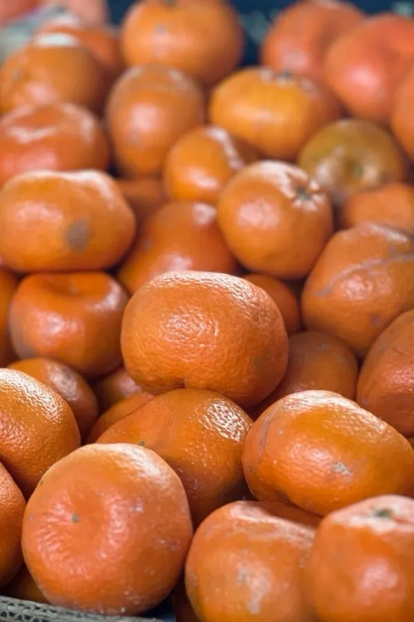 Na Ginta&scaron;u kilogram mandarina 2,50 eura