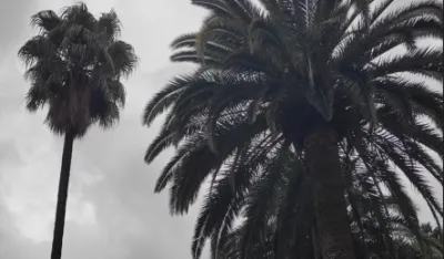 (VIDEO) Oblačno, do 22 stepena