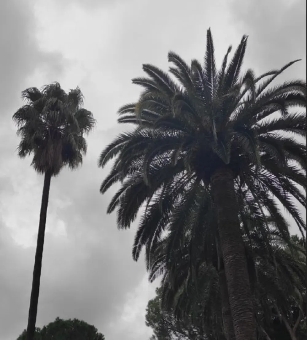 (VIDEO) Oblačno, do 22 stepena