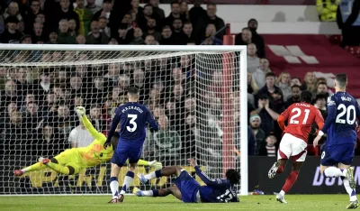 Elanga sru&scaron;io "crvene đavole"