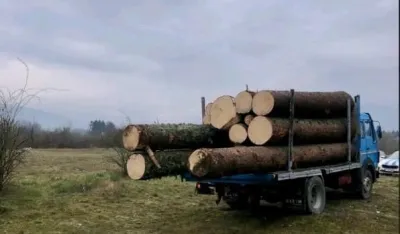 UP: Jedna osoba procesuirana u Beranama zbog &scaron;umske krađe, druga u bjekstvu
