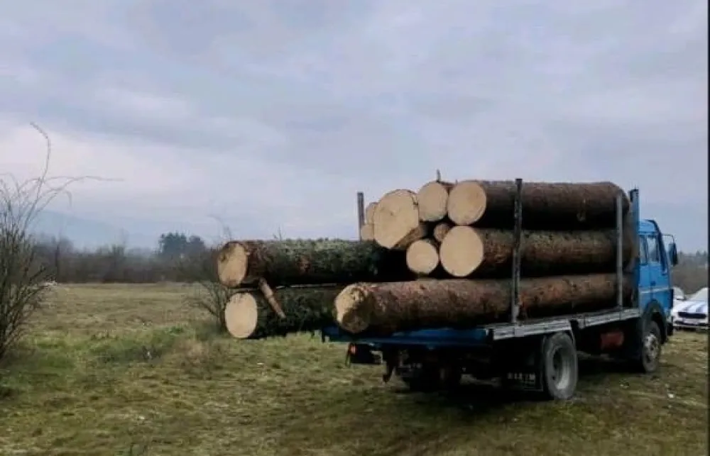UP: Jedna osoba procesuirana u Beranama zbog &scaron;umske krađe, druga u bjekstvu