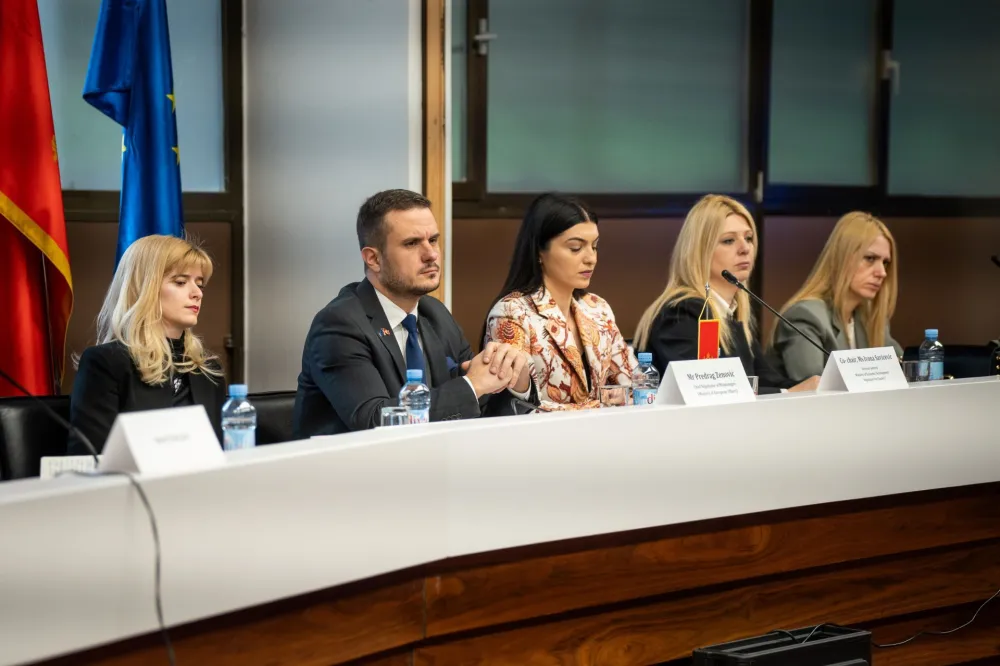 Zenović: Crna Gora u jedinstvenom trži&scaron;tu EU vidi priliku za novu eru ekonomskog razvoja