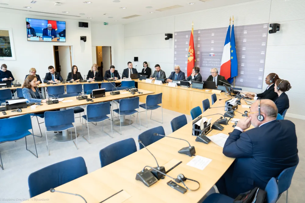 Mandić: Crna Gora&nbsp;je stabilna država bez otvorenih bilateralnih pitanja sa susjedima